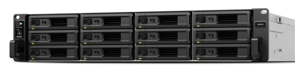 NAS SA3610