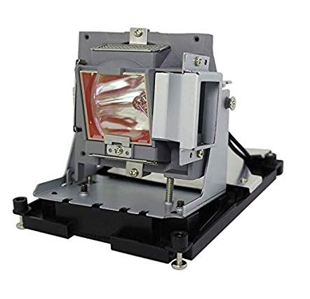 BTI LAMP FOR OPTOMA EH500/OEM: BL-FU310B DE.5811118436
