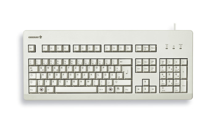 KEYBOARD G80-3000 GREY CLICK/USB PS/2 US-ENGL INTL MX-TECH